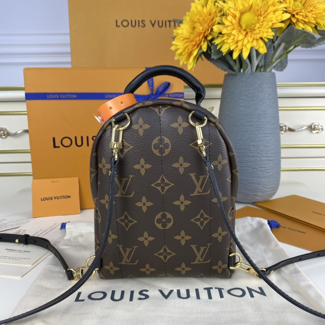 Louis Vuitton PALM SPRINGS PM Backpack Monogram M44871